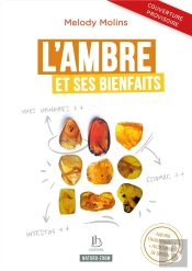 L'Ambre Et Ses Bienfaits : Naturopathie Classique Et Hildegarde De Bingen