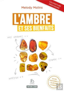 Bertrand.pt - L'Ambre Et Ses Bienfaits : Naturopathie Classique Et Hildegarde De Bingen