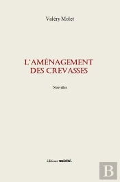 L'Aménagement Des Crevasses
