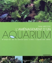 L'Aménagement D'Un Aquarium