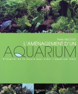 Bertrand.pt - L'Aménagement D'Un Aquarium
