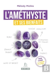 L'Améthyste Et Ses Bienfaits : Naturopathie Classique Et Hildegarde De Bingen