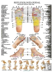 Laminas. Reflexologia Podal (N.E.)