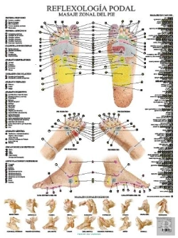 Bertrand.pt - Laminas. Reflexologia Podal (N.E.)