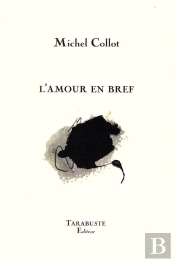 L'Amour En Bref - Michel Collot