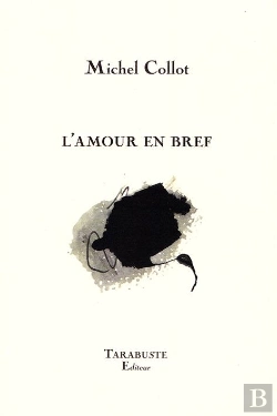 Bertrand.pt - L'Amour En Bref - Michel Collot