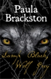 Lamp Black Wolf Grey