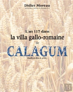 Bertrand.pt - L'An 117 Dans La Villa Gallo-Romaine De Calagum