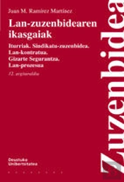 Lan-Zuzenbidearen Ikasgaiak