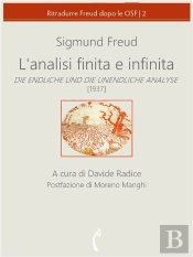 L'Analisi Finita E Infinita