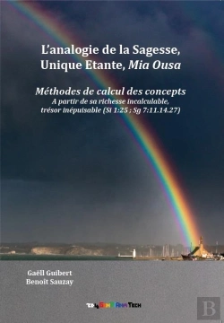 Bertrand.pt - L'Analogie De La Sagesse, Unique Étante, Mia Ousa : Méthodes De Calcul Des Concepts À Partir De Sa Richesse Incalculable, Trésor Inépuisable