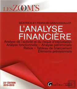 Bertrand.pt - L'Analyse Financiere - 22eme Edition - Analyse De L'Activite Et Du Risque D'Exploitation - Analyse F
