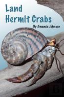 Land Hermit Crabs