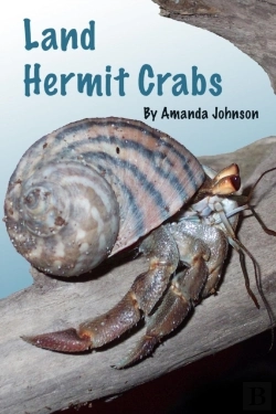 Bertrand.pt - Land Hermit Crabs