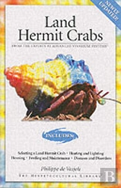 Land Hermit Crabs