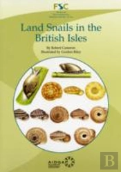 Land Snails In The British Isles