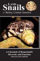 Land Snails Of Belize, Central America