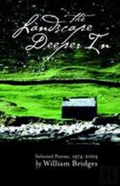 Landscape Deeper In