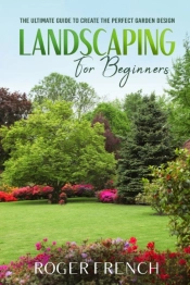 Landscape For Beginners