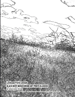 Bertrand.pt - Landscape Prairie Concepts Black White Monochrome Art Prints In A Book By Artist Grace Divine
