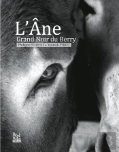L'Âne Grand Noir Du Berry