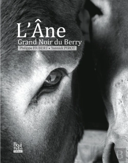 Bertrand.pt - L'Âne Grand Noir Du Berry