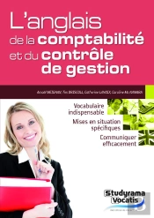 L'Anglais De La Comptabilite Et Du Controle De Gestion