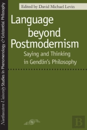 Language Beyond Postmodernism