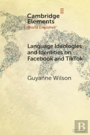 Language Ideologies And Identities On Facebook And Tiktok