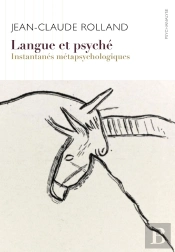 Langue Et Psyché : Instantanés Métapsychologiques