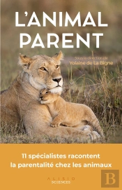 L'Animal Parent : 11 Spécialistes Racontent La Parentalité Chez Les Animaux