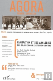 L'Animation Et Ses Analogies : Des Enjeux Pour L'Action Collective