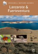 Lanzarote And Fuerteventura