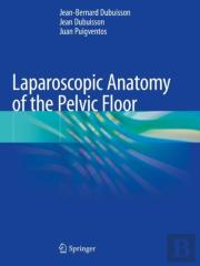 Laparoscopic Anatomy Of The Pelvic Floor