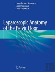 Laparoscopic Anatomy Of The Pelvic Floor