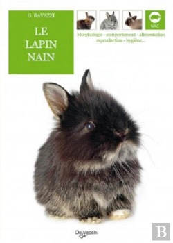 Bertrand.pt - Lapin Nain