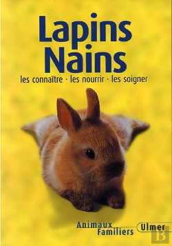 Bertrand.pt - Lapins Nains ; Nouvelle Edition