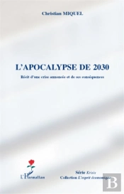 L'Apocalypse De 2030 ; Récit D'Une Crise Annoncée Et De Ses Conséquences