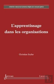 L'Apprentissage Dans Les Organisations