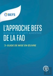 L'Approche Befs De La Fao