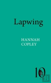 Lapwing