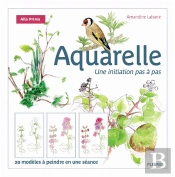 L'Aquarelle ; Une Initiation Pas À Pas