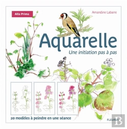Bertrand.pt - L'Aquarelle ; Une Initiation Pas À Pas