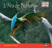 L'Ara De Buffon