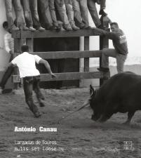 Largadas de Touros / Bulls set Loose