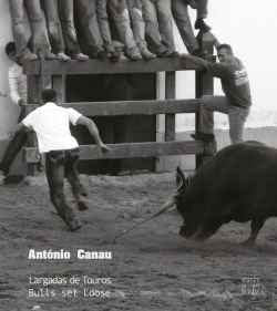 Bertrand.pt - Largadas de Touros / Bulls set Loose