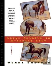 Large Animals In Everyday Life
