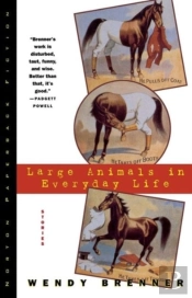 Large Animals In Everyday Life