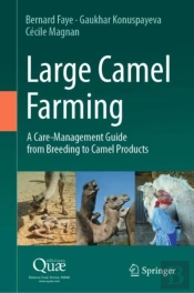 Large Camel Farming