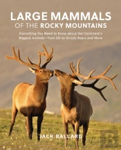 Large Mammals Of The Rocky Mountains